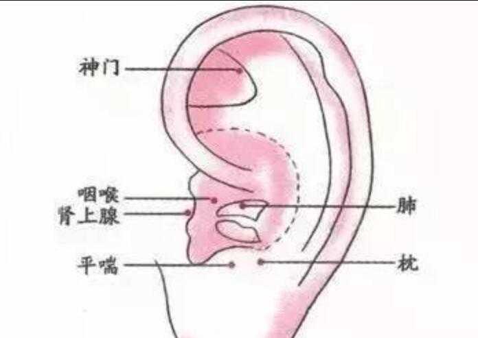 QQ截圖20210604155044.jpg
